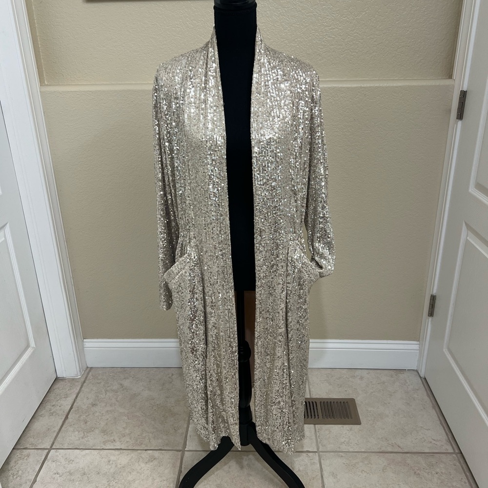 BB Dakota - Steve Madden Silver Sequin Cardigan